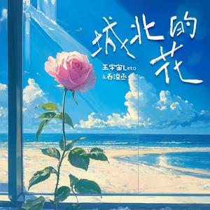 杨童舒透视走光
